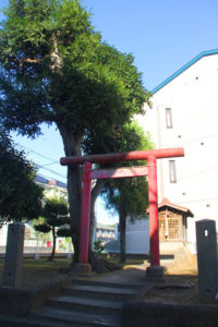 狛江市猪方稲荷塚古墳