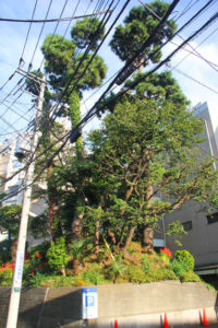狛江市駄倉塚古墳